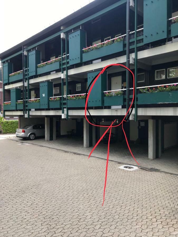 Brandmatt Ferienwohnung Im Terrassenpark Sasbachwalden מראה חיצוני תמונה