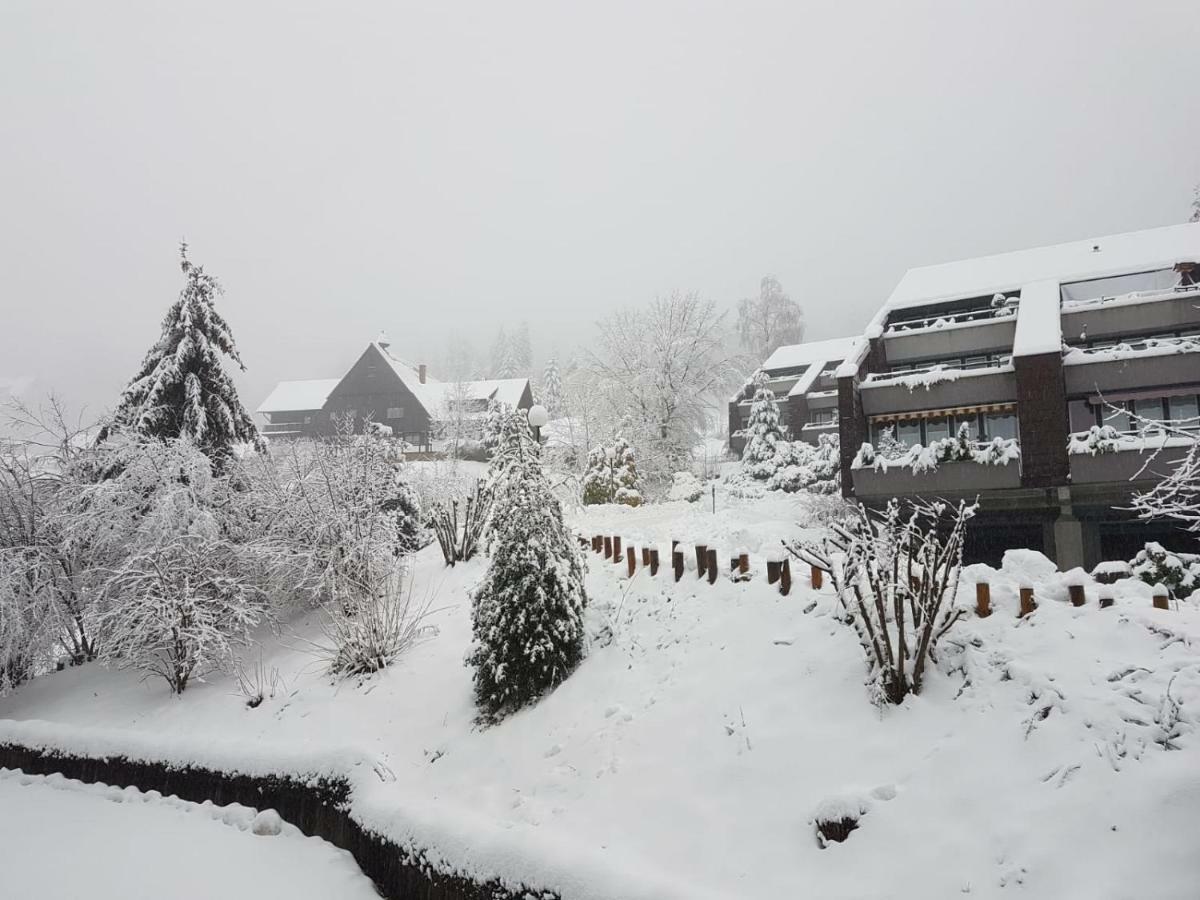 Brandmatt Ferienwohnung Im Terrassenpark Sasbachwalden מראה חיצוני תמונה